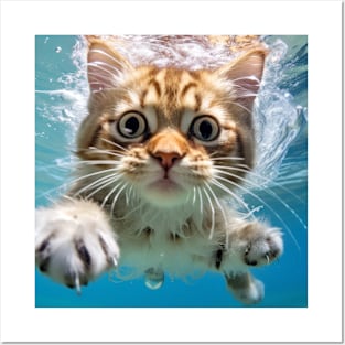 Cat Pet Animal Fun Playing Water Outdoor Posters and Art